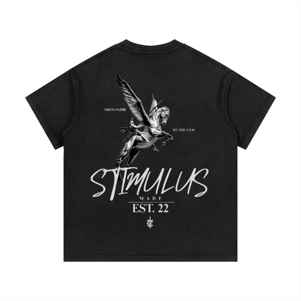 STIMULUS-Pegasus Washed T-Shirt