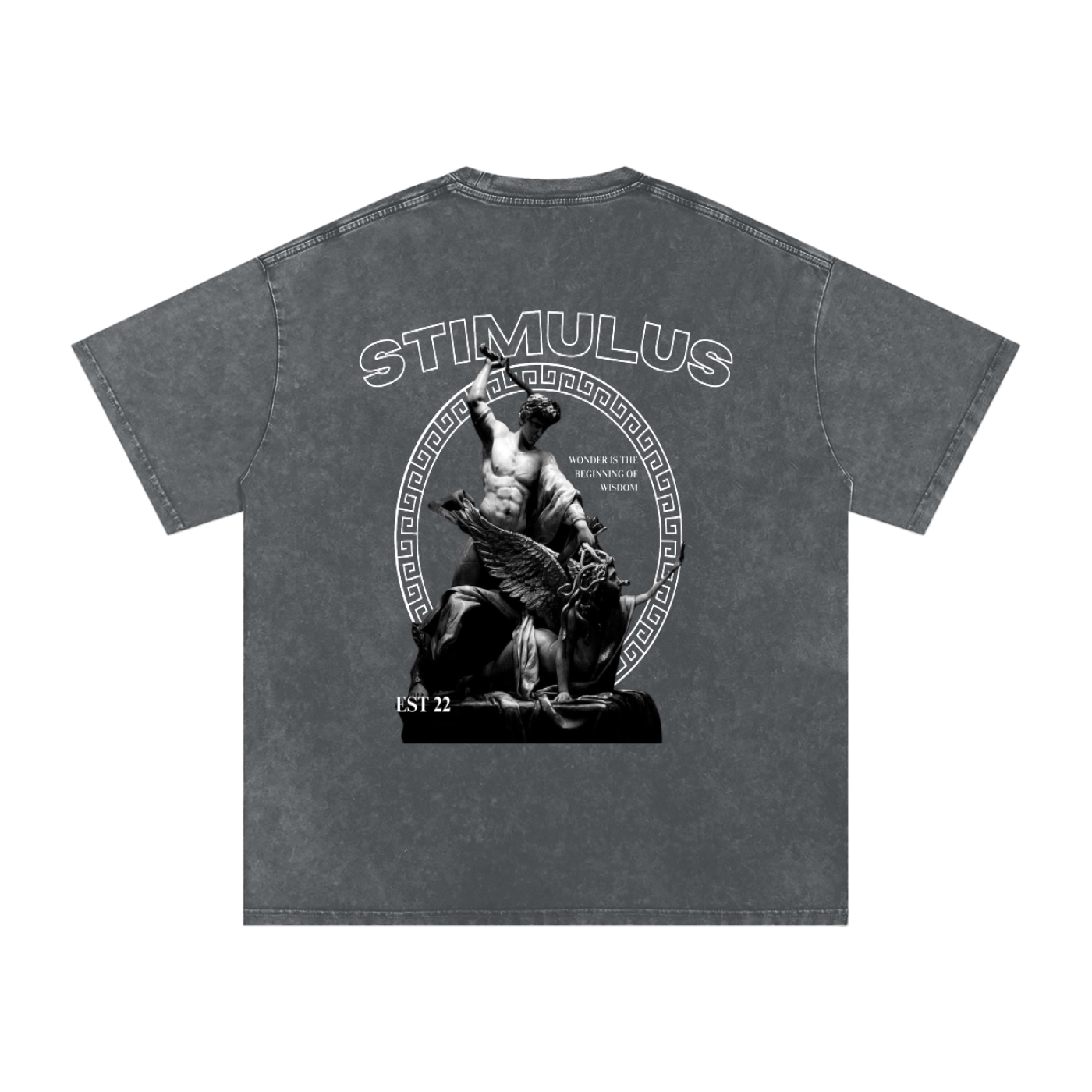 STIMULUS-Chronicle Ovsersize T-Shirt