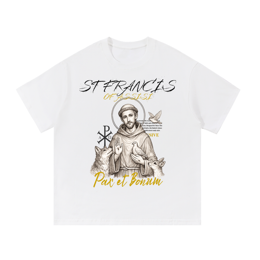 STIMULUS-ST Francis Of Assisi T-Shirt