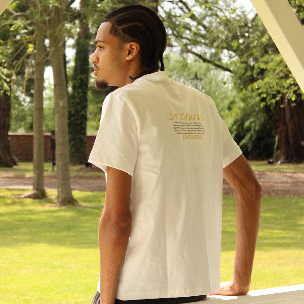 STIMULUS-ST Francis Of Assisi T-Shirt
