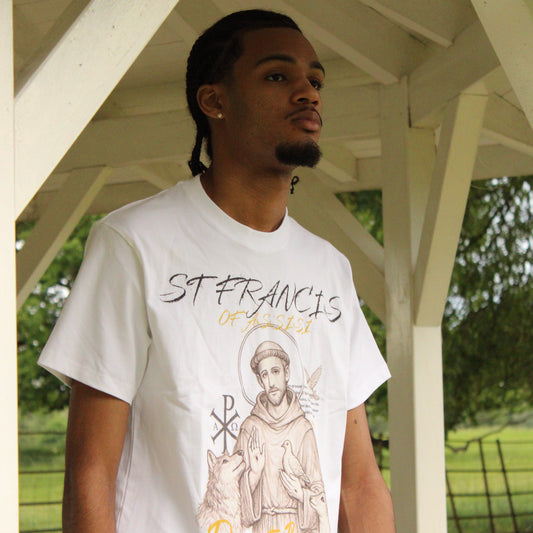STIMULUS-ST Francis Of Assisi T-Shirt