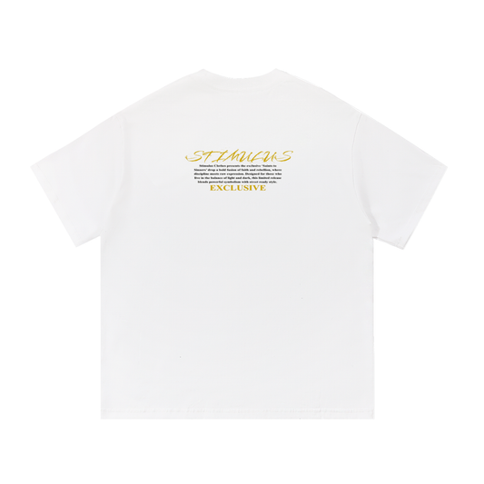 STIMULUS-ST Francis Of Assisi T-Shirt