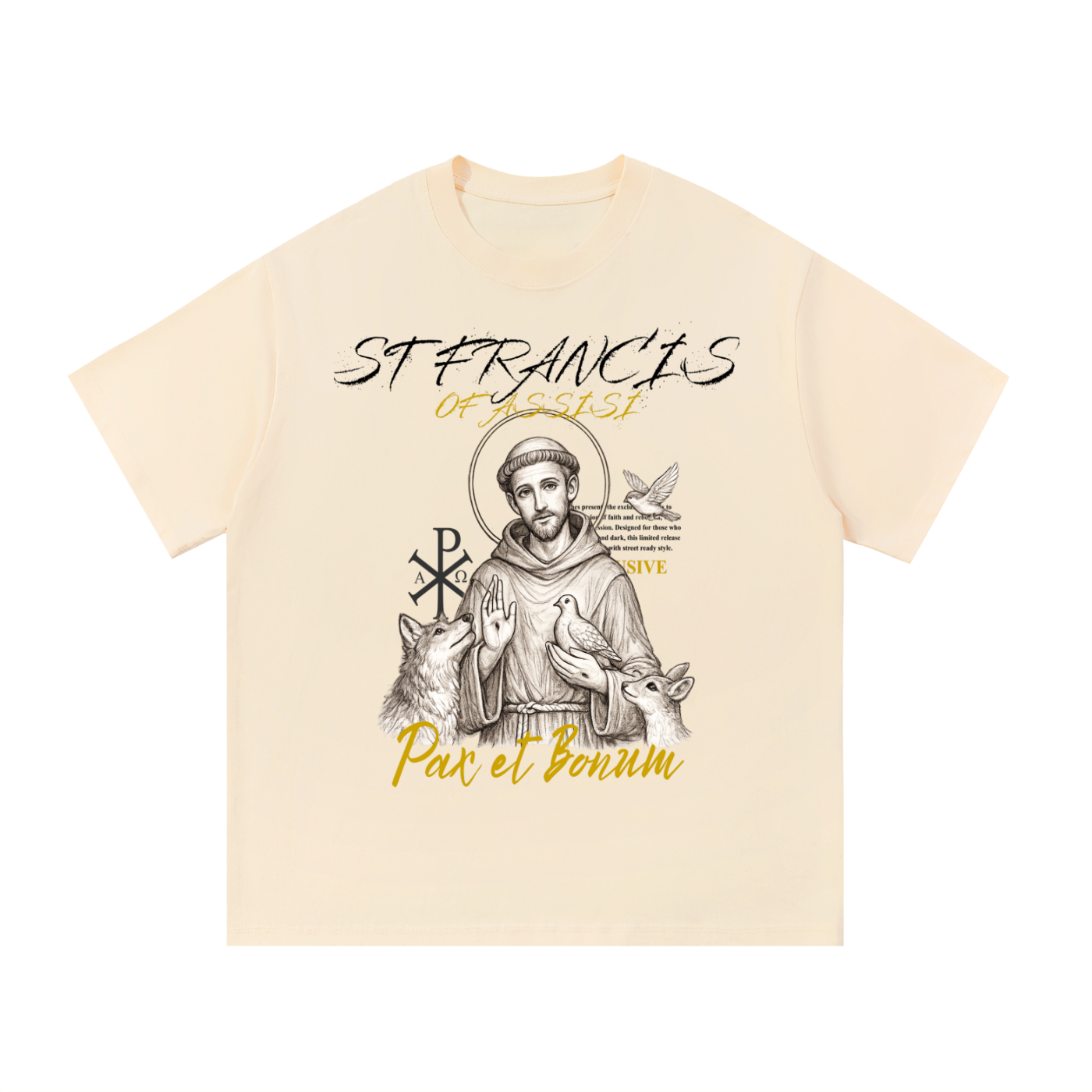 STIMULUS-ST Francis Of Assisi T-Shirt