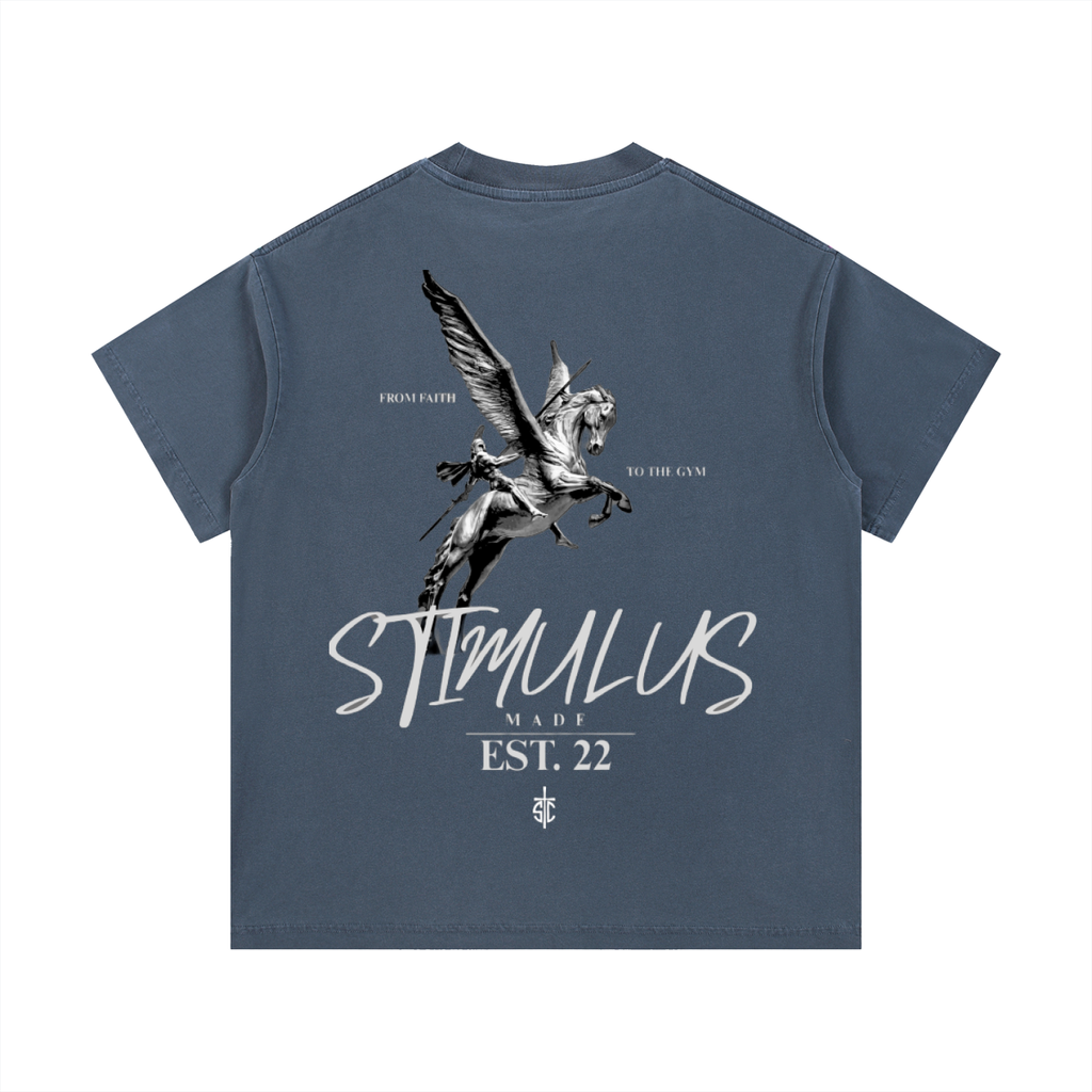STIMULUS-Pegasus Washed T-Shirt