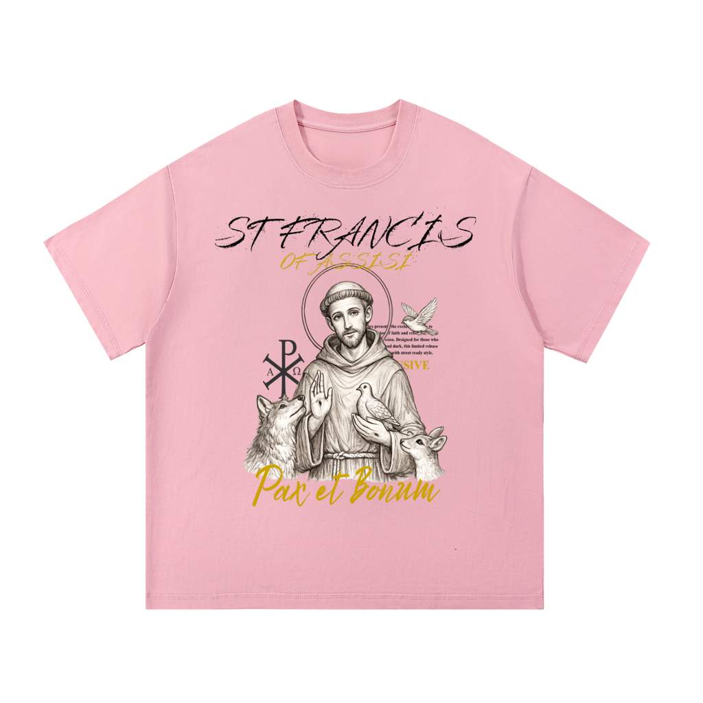 STIMULUS-ST Francis Of Assisi T-Shirt